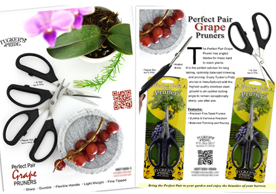 Logo design and branding for Cans, Boxes, Uniforms, fleet decals, and on all marketing print and web media.